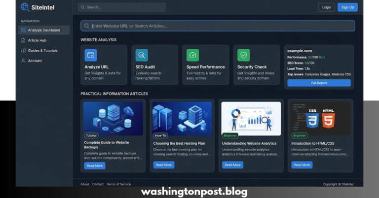 zingyzon.com